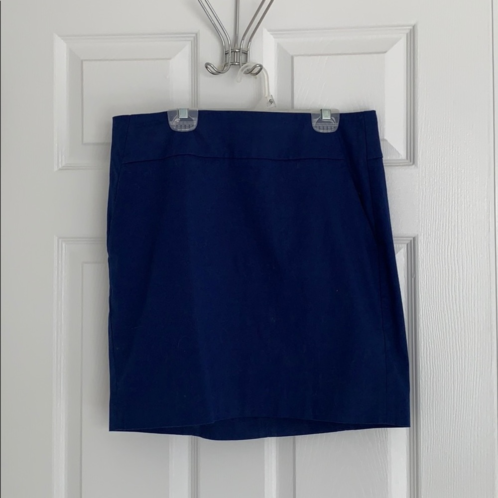 Ann Taylor Skirt